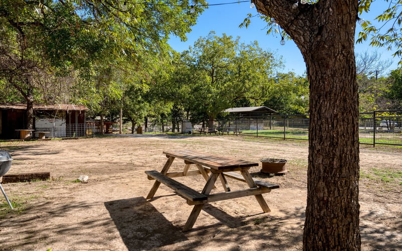 A rustic outdoor setting with a weathered wooden picnic table under a tree. A fire pit and grill are nearby, with fenced enclosures, trees, and a small shed in the background.