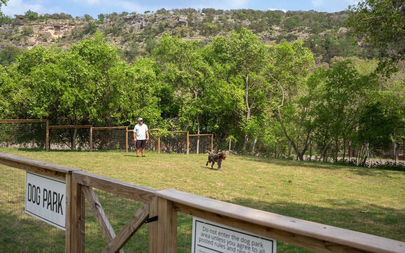 A man and a dog in a fenced dog park surrounded by trees and a hillside in the background.